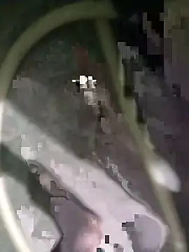 AgitatedStrip9 online show from October 7, 2025, 5:14 pm