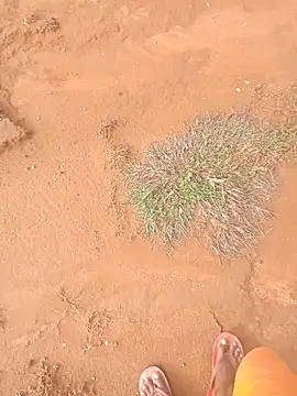 AgitatedStrip9 online show from September 22, 2025, 2:28 am