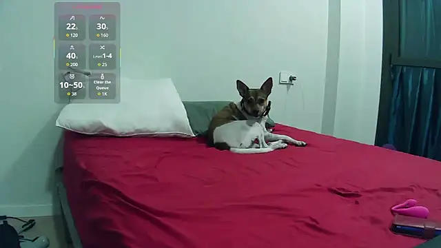 Catylandi1 online show from November 14, 2025, 10:35 pm