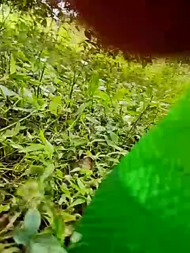 telugumodda4396 online show from October 24, 2025, 7:51 am