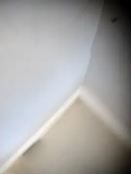  online show from October 3, 2025, 2:59 am