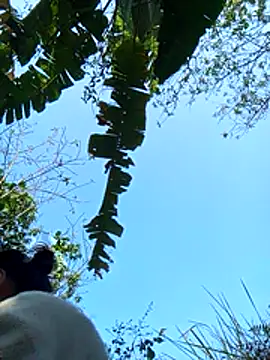 dorothyxx online show from December 1, 2025, 3:51 am