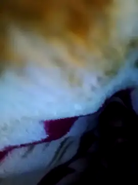 alone boy802 online show from October 1, 2025, 6:01 pm