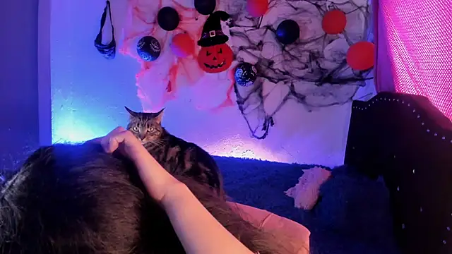 kitty  chs online show from November 1, 2025, 5:29 pm