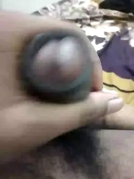 ankitlucknow11 online show from November 9, 2025, 7:45 am