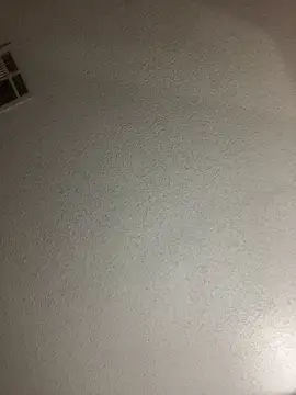 Snapshot of BuzzBunni69 chatting on October 26, 2025, 4:57 am BuzzBunni69 online show from October 26, 2025, 4:57 am