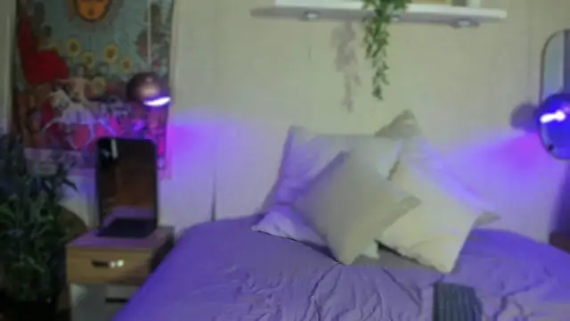 Violeta dh online show from October 4, 2025, 11:45 am