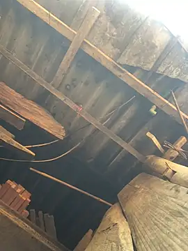 July sexy69 online show from April 6, 2026, 3:13 am