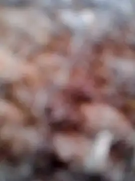 Rs sonam online show from February 6, 2026, 2:51 am