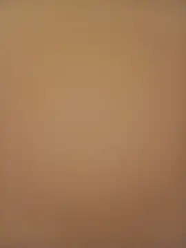 Snapshot of Sali_ji chatting on February 21, 2026, 1:07 am Sali ji online show from February 21, 2026, 1:07 am