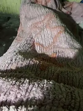 sam salman online show from February 1, 2026, 10:41 pm