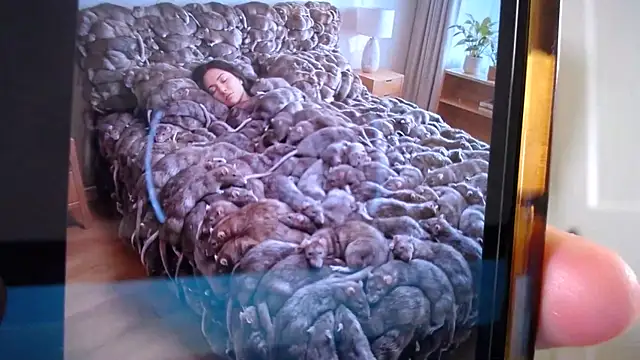 naughtyfox89 online show from March 18, 2026, 3:31 am