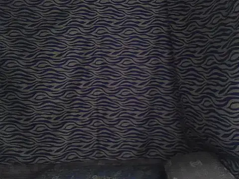 Snapshot of joy_cute chatting on February 7, 2026, 11:46 pm joy cute online show from February 7, 2026, 11:46 pm