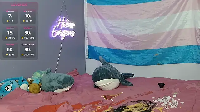 cinderellie online show from October 21, 2025, 3:17 am