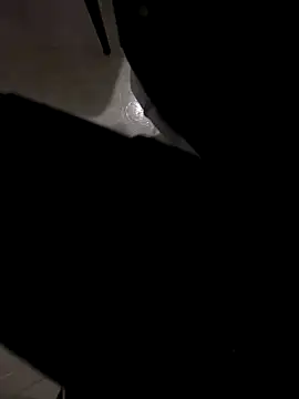 Snapshot of jeff2995_ chatting on December 4, 2025, 4:55 am jeff2995 online show from December 4, 2025, 4:55 am