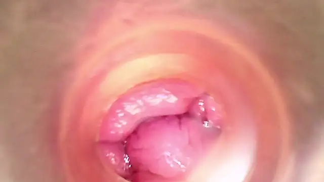 Snapshot of shannon_kinne_ chatting on March 29, 2026, 5:47 pm shannon kinne online show from March 29, 2026, 5:47 pm