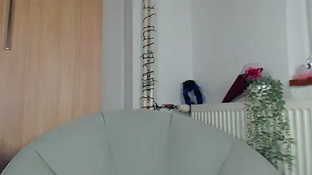 Snapshot of adacgrey chatting on February 15, 2026, 6:51 pm adacgrey online show from February 15, 2026, 6:51 pm