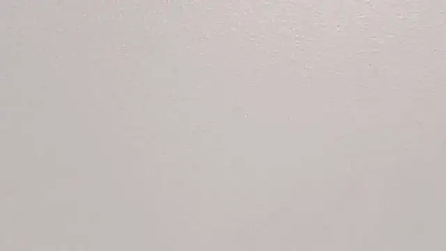 GeorginaFit online show from October 30, 2025, 12:03 pm