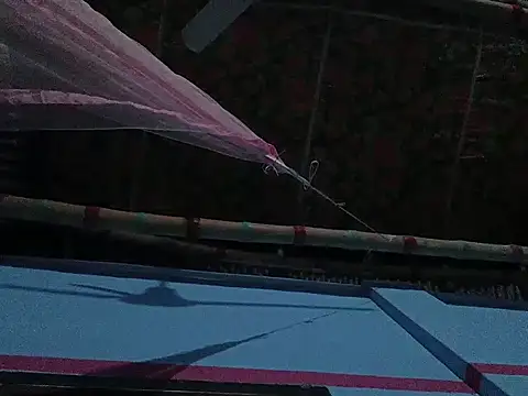 mfrboss1 online show from December 22, 2025, 9:48 pm