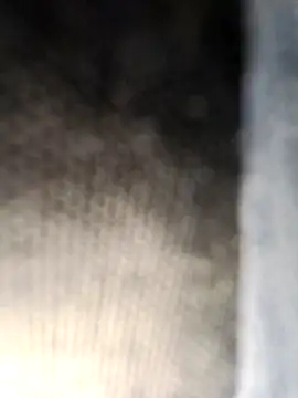 Neilhot98 online show from March 8, 2026, 2:42 pm