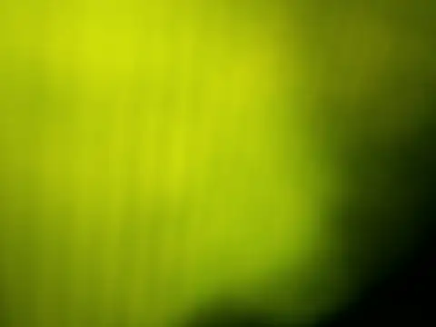 Snapshot of GingerLegend chatting on April 9, 2026, 12:22 pm GingerLegend online show from April 9, 2026, 12:22 pm