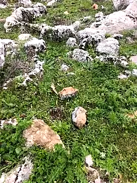 Sert erkek21 ysm online show from March 26, 2026, 1:20 pm