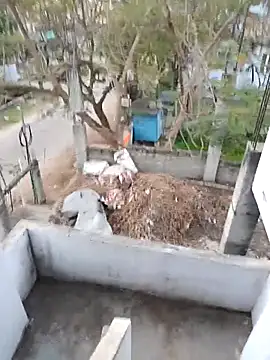 Snapshot of hemcrazy chatting on February 20, 2026, 1:02 am hemcrazy online show from February 20, 2026, 1:02 am