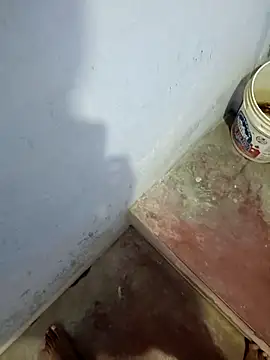 Snapshot of hemcrazy chatting on February 3, 2026, 6:22 am hemcrazy online show from February 3, 2026, 6:22 am