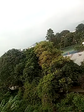 anshika sharma20 online show from October 27, 2025, 10:49 am