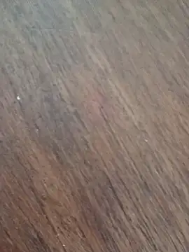 papajuancho online show from October 5, 2025, 7:48 pm