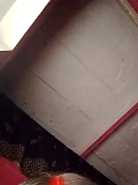 Cr sonam online show from November 7, 2025, 11:30 pm