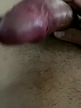 leiteiro2002 online show from November 9, 2025, 11:58 am