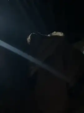 hello-cute online show from November 12, 2025, 11:19 pm