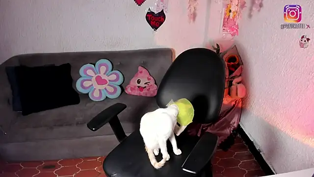 Snapshot of Emilycollei chatting on April 11, 2026, 7:45 am Emilycollei online show from April 11, 2026, 7:45 am