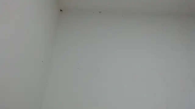 Snapshot of drako_monster chatting on January 17, 2026, 10:46 pm drako monster online show from January 17, 2026, 10:46 pm