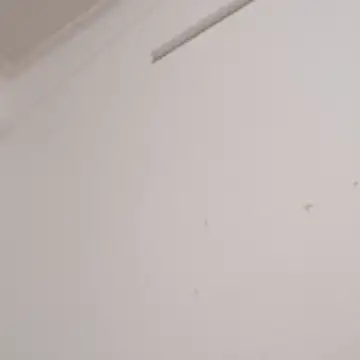 Anchal-8798 online show from December 2, 2025, 6:09 pm