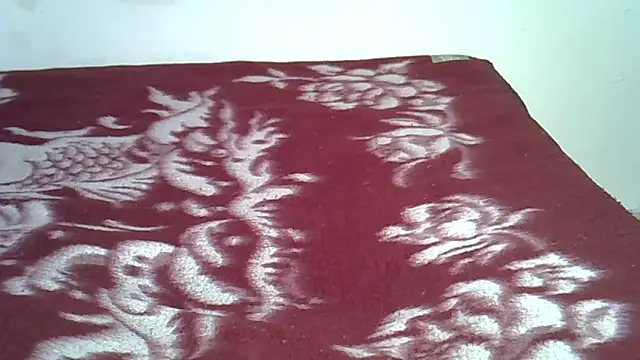 Barbienigel online show from December 17, 2025, 2:22 pm