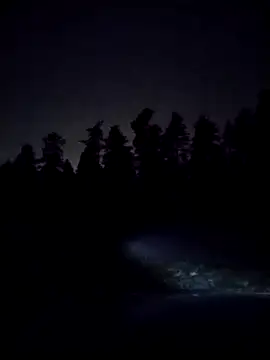 kiimakalu online show from December 5, 2025, 7:55 pm