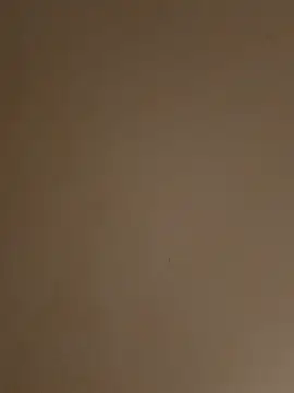 Playboyx143xh online show from October 12, 2025, 5:58 pm