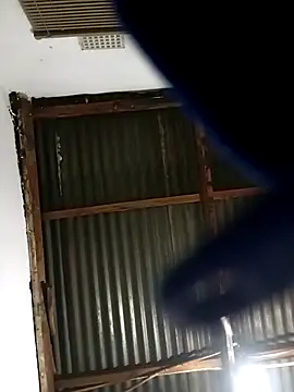 MyGuy352 online show from December 1, 2025, 5:36 pm