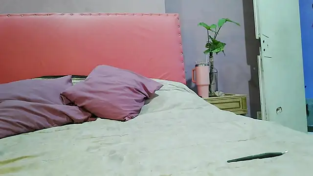 cojeelcamino online show from November 17, 2025, 5:06 pm