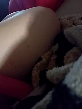 Taradinha pelosogro online show from March 10, 2026, 9:57 am