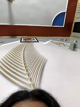 Anshika1431 online show from November 22, 2025, 4:55 am