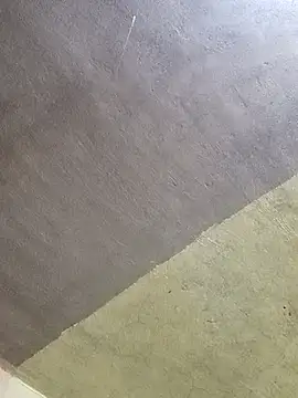 Cogelonregio online show from October 26, 2025, 5:19 am