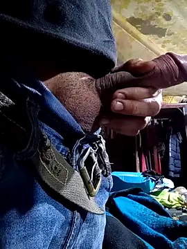 Cogelonregio online show from November 12, 2025, 9:46 am