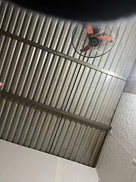 tabby-cat11 online show from February 3, 2026, 8:30 am