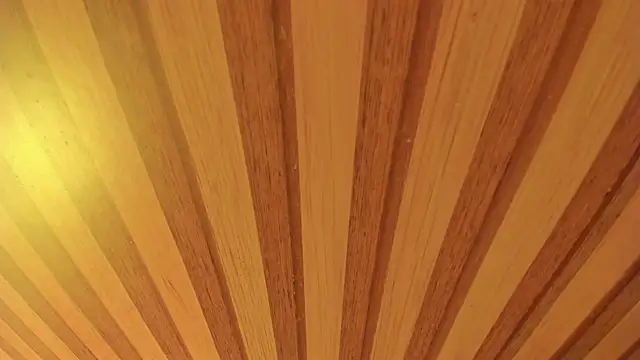 Snapshot of mia__blaze__ chatting on January 13, 2026, 2:59 am mia blaze online show from January 13, 2026, 2:59 am