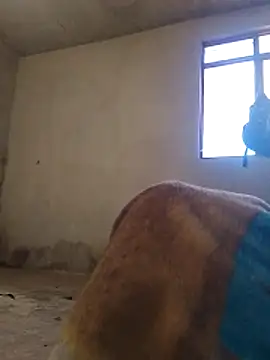 Orlao25cm online show from November 9, 2025, 1:59 pm