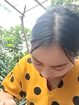 Sinhlinh2020 online show from November 6, 2025, 2:59 am