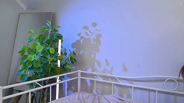 Sia See you online show from October 26, 2025, 9:48 pm